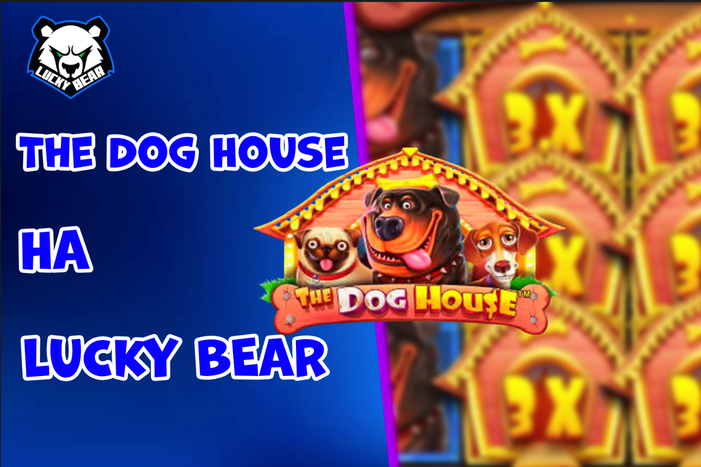 LuckyBear: Весёлые стратегии в The Dog House