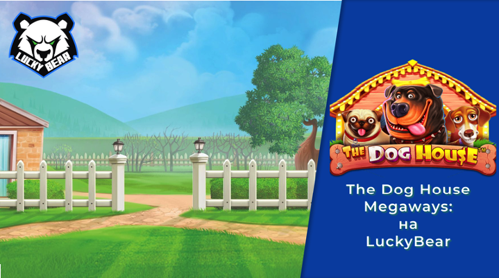 The Dog House Megaways: Лапки и Выигрыши